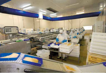 TECHNICIEN(NE) DES SERVICES VÉTÉRINAIRES contractuel(le) 65700 MAUBOURGUET